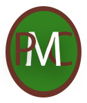 ProModern Construction LLC. Logo